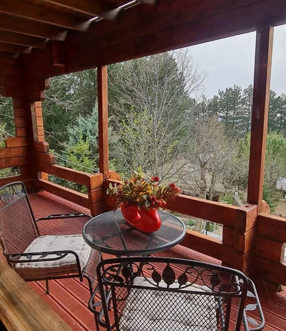 **** Hotel Dajti Paradise Resort Tirana Albanien